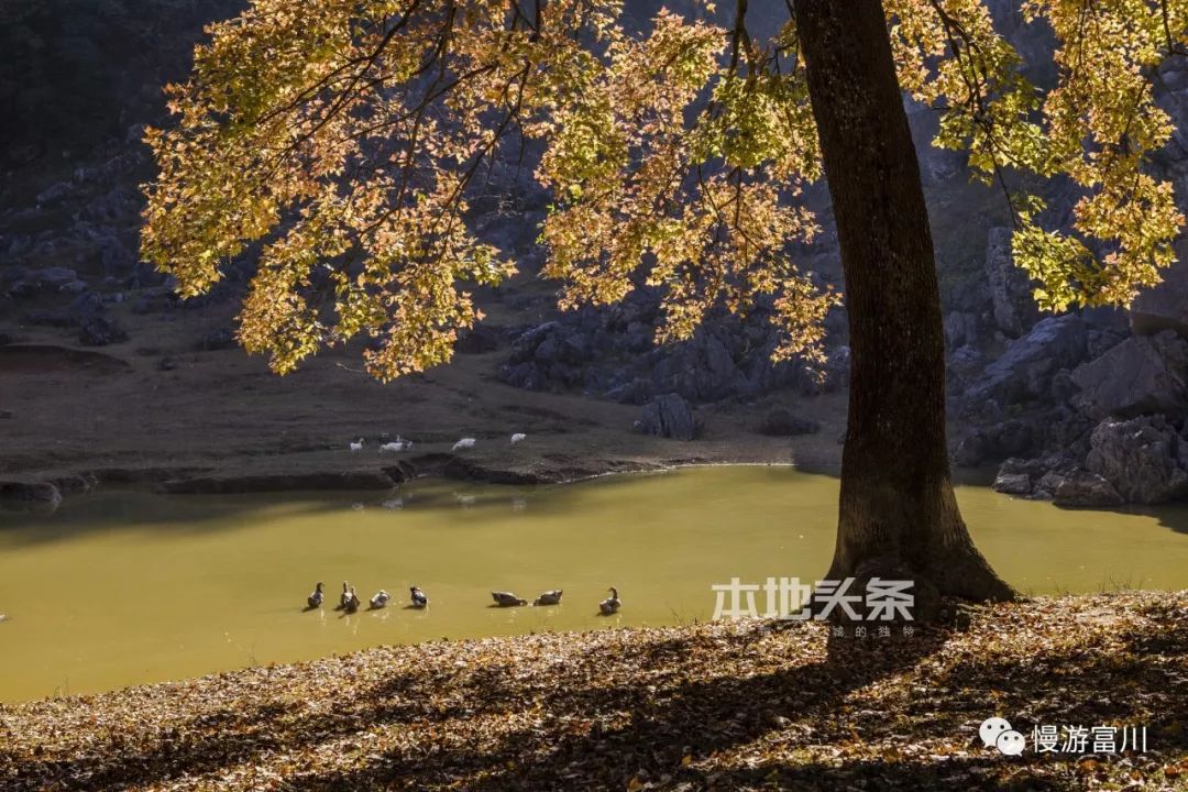 怎么去国外打工不花钱,怎么出去旅游不花钱