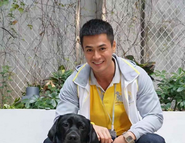 任达华和导盲犬的电影叫什么名字,导盲犬小q任达华为什么没有回来