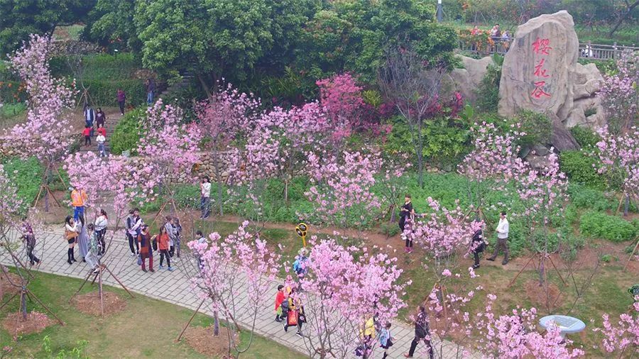 厦门美食探店海沧,厦门海沧特色美食探店