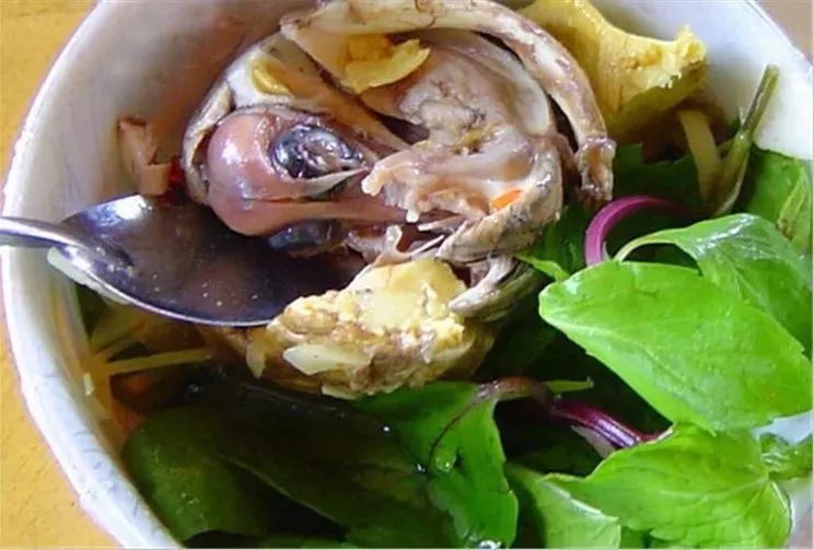 推荐一个好地方的十大理由,推荐一个好地方的三大理由