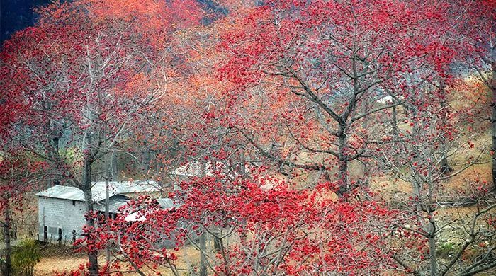 2024怒江皮划艇赛事日程,皮划艇野水比赛