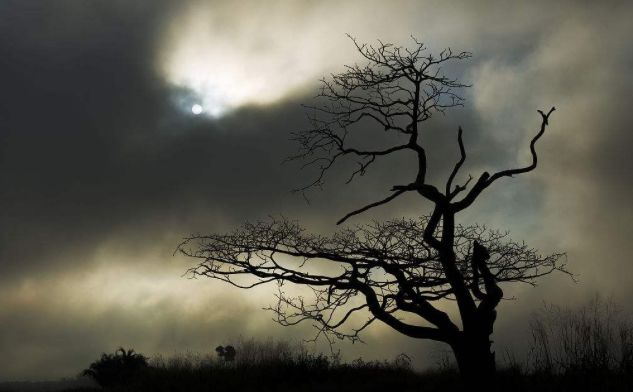 鏈噾杞瓨鍜屾湰鎭殑鍖哄埆,鏈噾鏀规湰鎭鏃堕棿蹇悧