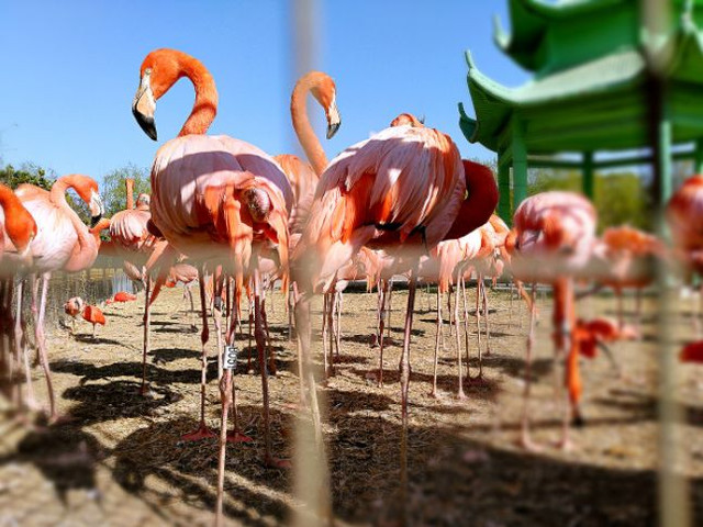 北京旅游攻略5天自驾游推荐,来北京自驾游攻略及费用