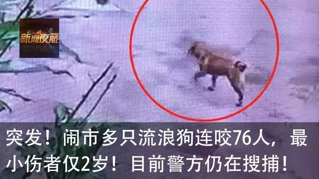 杀鸡杀出鸡宝价值上千万,杀鸡时发现天价宝物