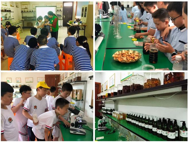 富阳周边周末带娃,富阳周末带娃好去处