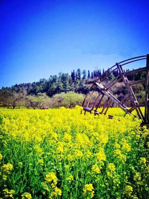 以时光之名久伴你昆明,陪你度过漫长的岁月云南