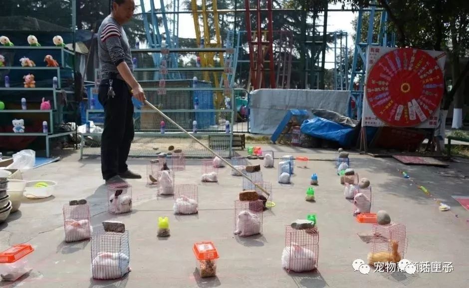 世界上最残忍的游戏就是旋转木马,这样的旋转木马你敢坐吗