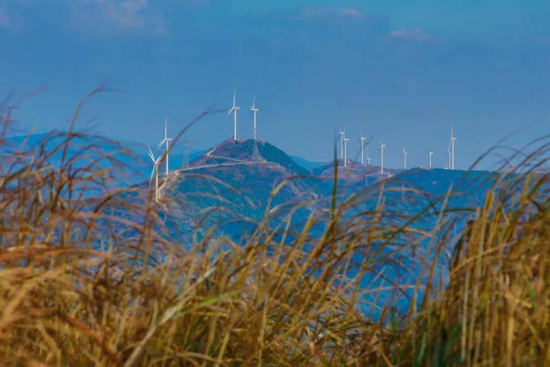 北仑河头游步道,一条游步道串起北仑