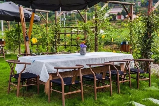 成都可以带娃钓鱼烧烤的农家乐,推荐好的农家乐成都