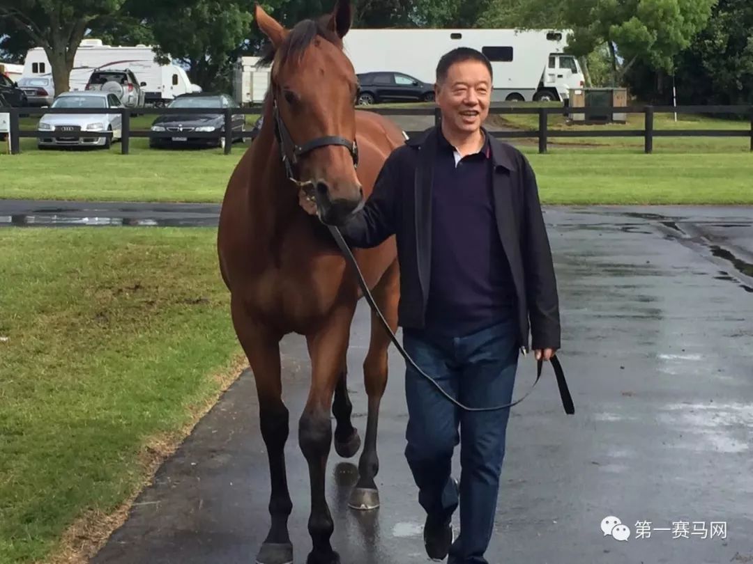 「买马」莱德旗下赛驹拍出高价，中国马主团豪砸重金购入佳驷，新西兰卡拉卡两岁受训马拍卖会隆重开槌