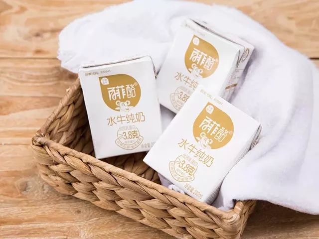 一条拼团｜“百菲酪”水牛奶，日东红茶经典奶茶