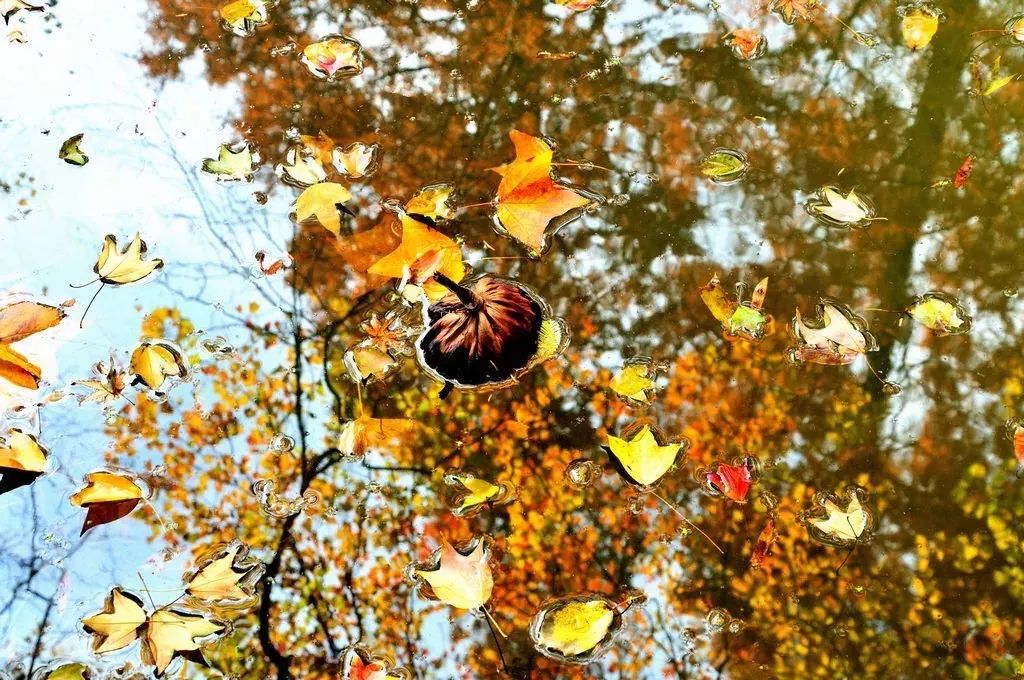 厉害了！再过不久，上海这些地方要“火”了！乘公共交通去围观