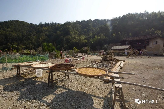 去福建土楼要先去哪个景区游玩,福建土楼永定土楼值得去吗