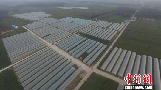 兰考旧貌换新颜,兰考新旧变化