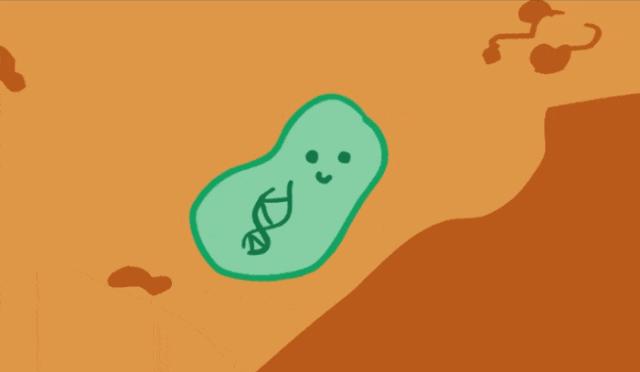 毛巾越用越硬是什么原因,为什么有的毛巾那么厚但擦脸硬