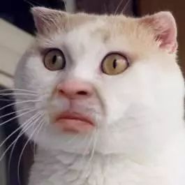 紧急曝光生产成本,经济投资成本