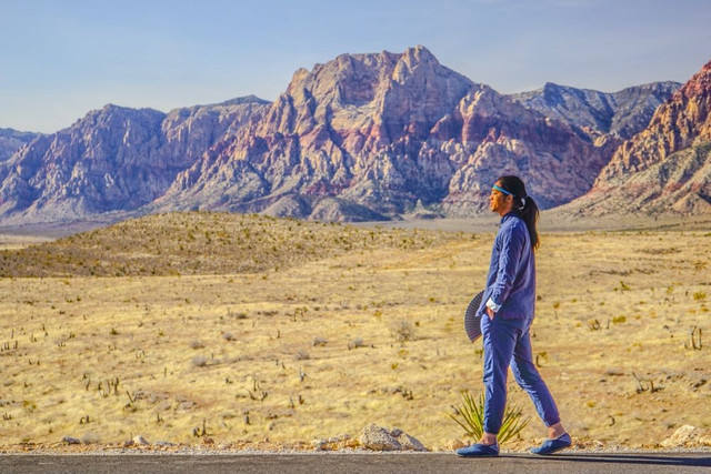 在拉斯维加斯玩点不一样的