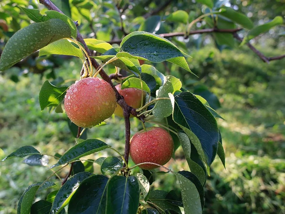 敏感肌补水保湿面膜推荐性价比高,性价比超高的保湿面膜推荐