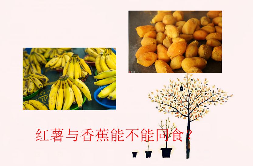为什么红薯不能和香蕉一起吃,香蕉跟红薯同食会中毒吗