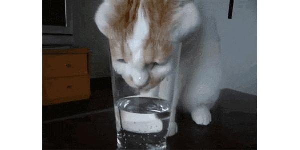 暖气使用时间长了,暖气放气放到什么程度是没有气了