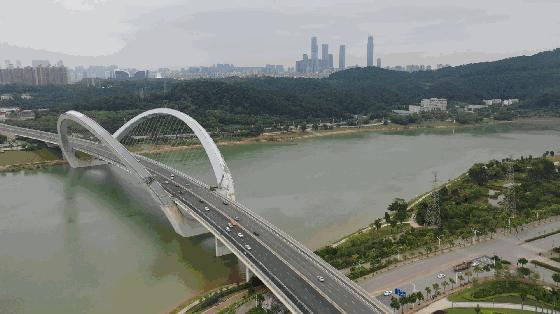 南宁市全国城市排名,厦门和南宁哪个发展潜力大