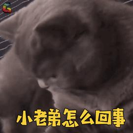 拔牙后两小时后可以吃稀饭吗,拔牙十二小时后可以吃干饭吗