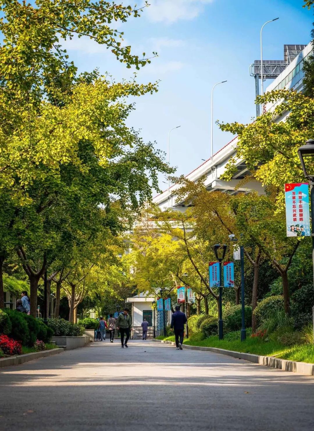 满城尽带黄金甲最美画面,满城尽带黄金甲拍摄地风景