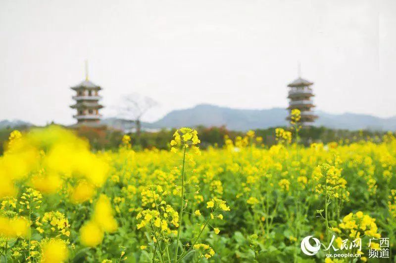 去哪冬游最嗨皮？公示中的广西19家生态旅游示范区不错！