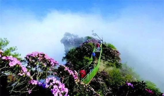 巴中风景区排行榜前十名,巴中网红打卡