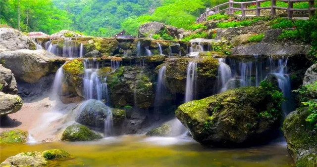成都周边野花,成都周边花谷景区推荐