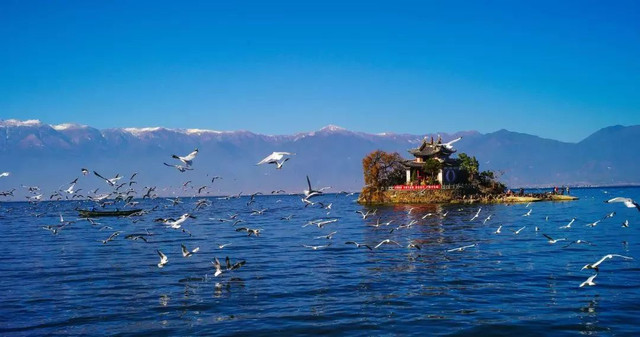 天津5000元工资能活下去吗,天津人工资真那么低吗