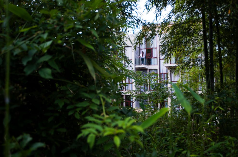 推荐5家性价比超高的民宿,最性价比新兴民宿推荐