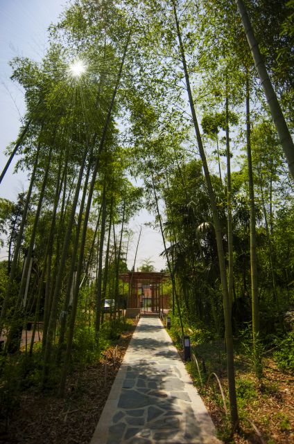 便宜又好的民宿推荐,性价比高的一家民宿