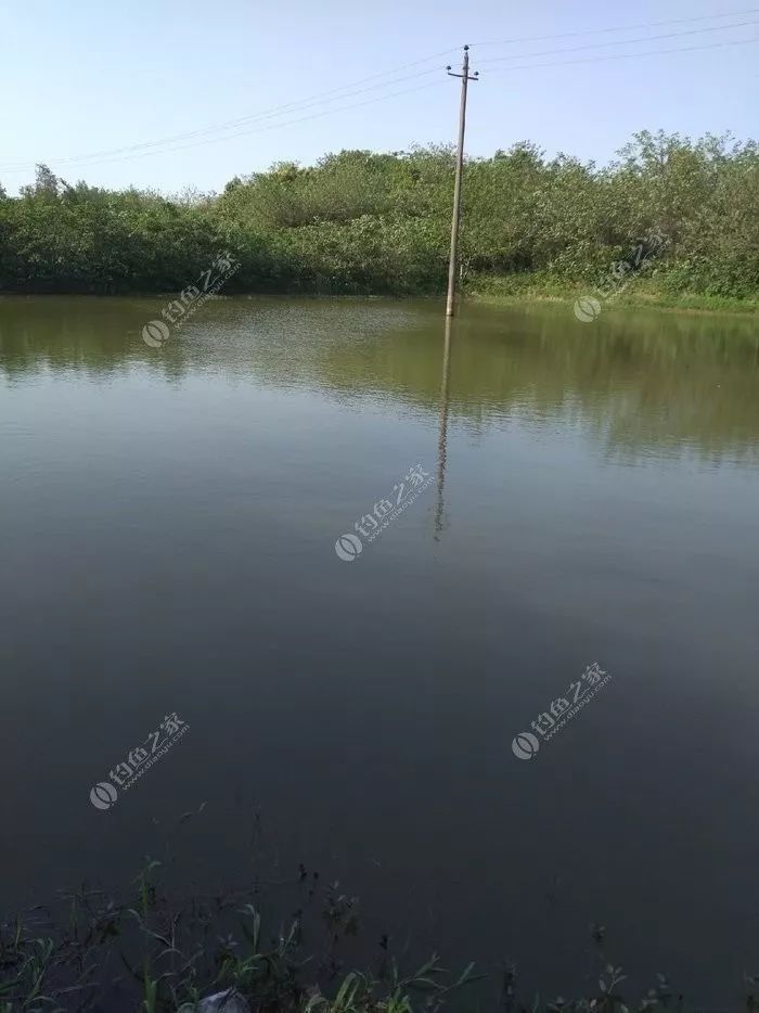 瑶柱钓鱼真实效果,干瑶柱钓鱼怎么样