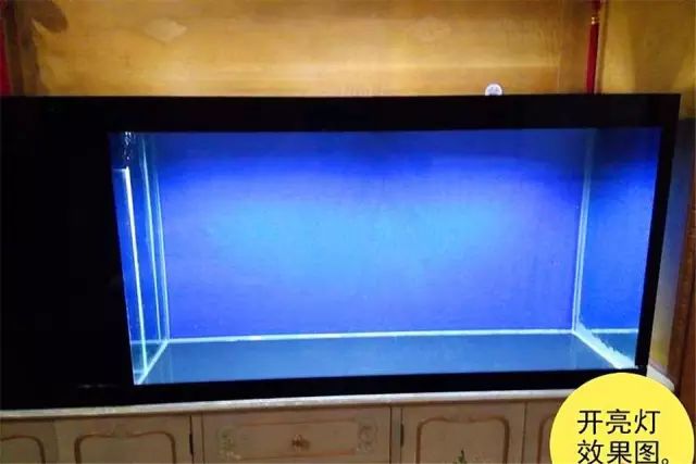最简单的方法自制鱼缸背景,小型鱼缸制作全过程