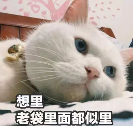 你要樱桃女孩or人间蜜桃，橘子汽水还是我？