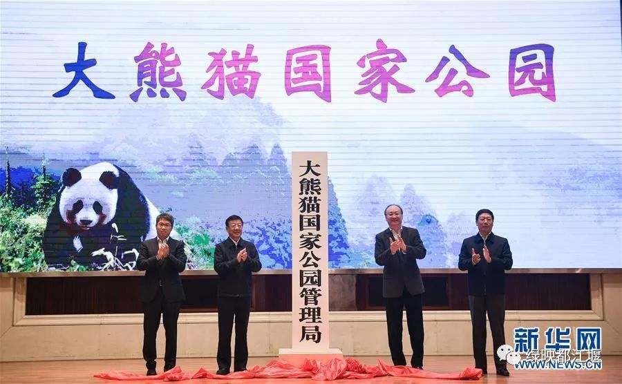 小说连载《龙虹记》｜第二十六回：毛冠鹿逼上梁山熊猫家园换新颜