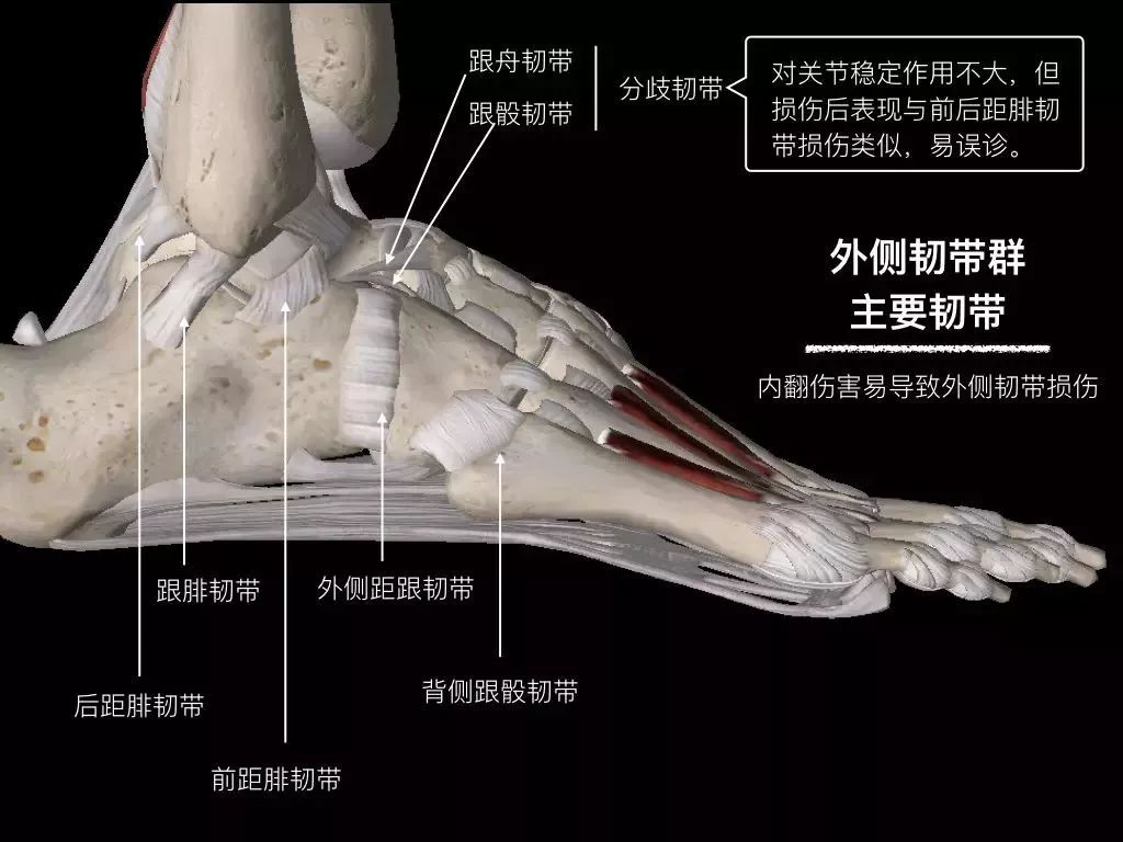 踝关节韧带修复手术康复动作,踝关节韧带康复训练图解