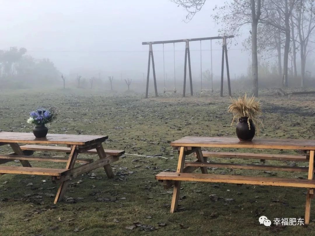 美哭！咱肥东这里竟藏着一处“秘境”，很多人都不知道……