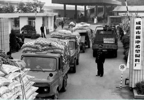 西南房企,西南房企有哪些企业