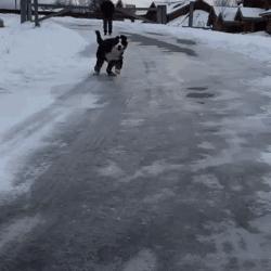 零下16度！石嘴山将迎降雪？！