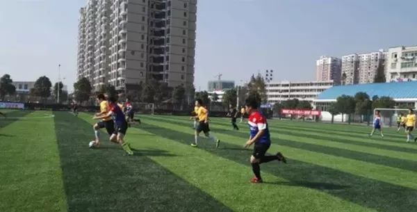 孝感市机构改革方案公布,足球改革总体方案全文