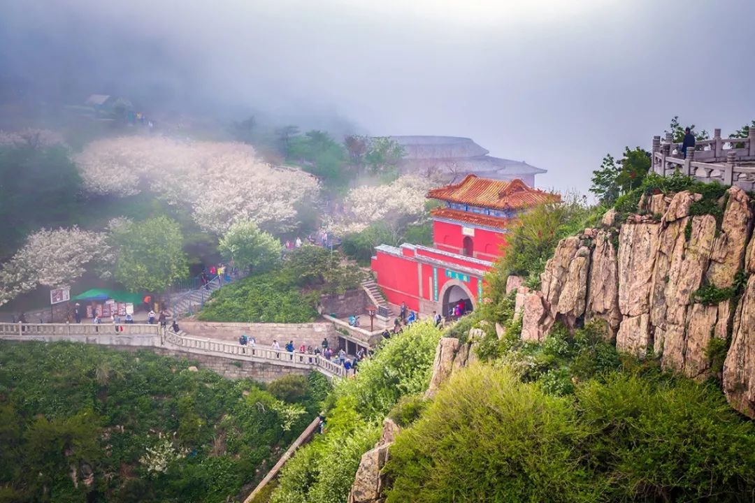 泰山登山证能去哪些地方免费,爬泰山什么证件可以免费