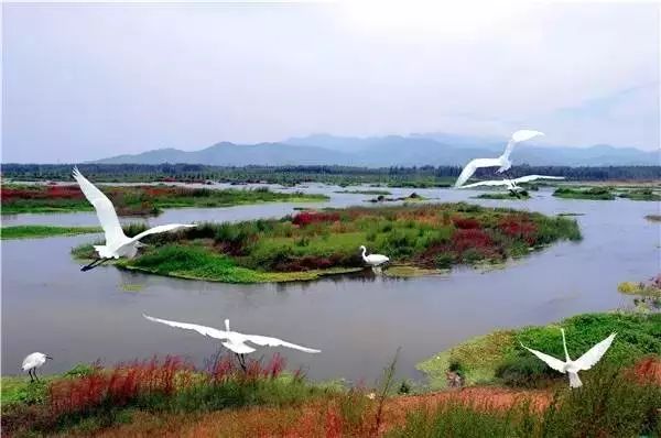 泰山登山证能去哪些地方免费,爬泰山什么证件可以免费