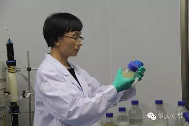 肇庆最吸引人的是什么,肇庆吸引力