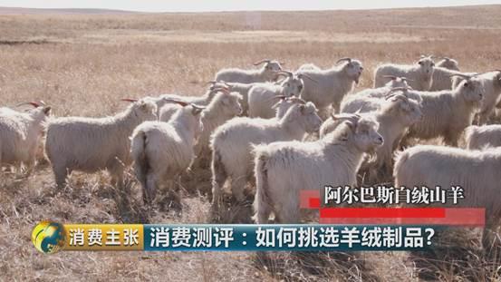 羊绒衫领发黄怎样清洗才正确,学会这一招清洗得干干净净