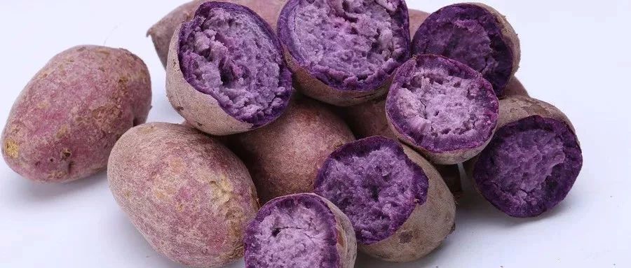 癌症患者是否能吃白木耳,患肿瘤能吃黑米燕麦小米吗