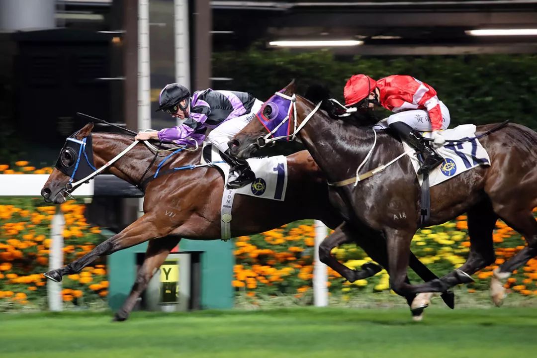 国际马术大师赛浪琴表,国际骑师香港锦标赛