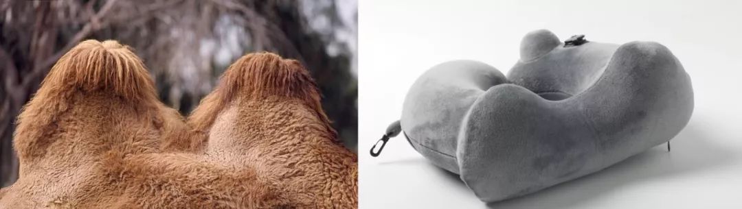 拯救你的颈椎!这款德国变态”护颈”神器,让你坐着比躺着还舒服,连失眠也能救一下