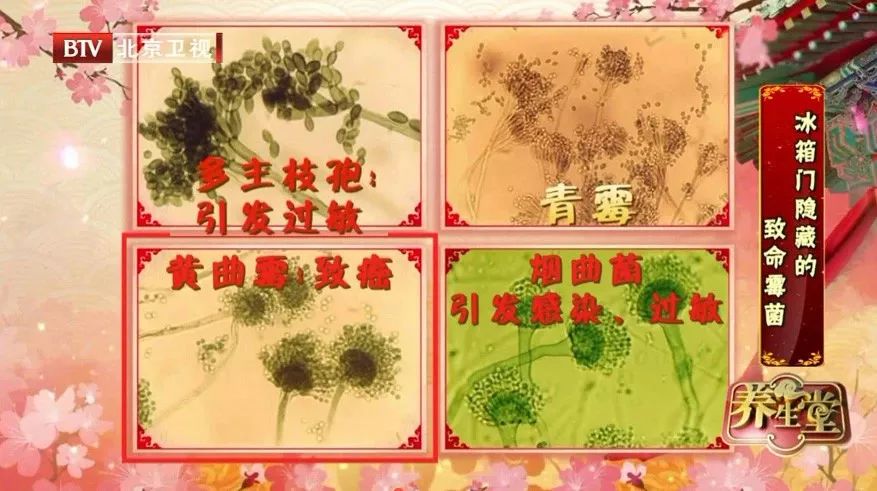 霉菌是不是百害无一利,霉菌是一等致癌物你绝对想不到